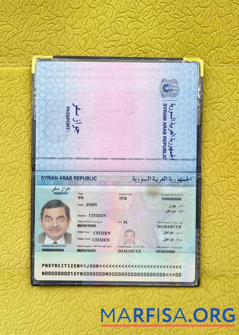 Blank Syria passport 2022 present photolook real example